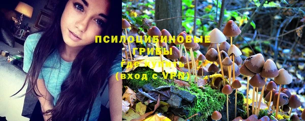 каннабис Каменка