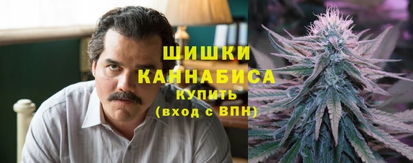 ALPHA PVP Каменногорск